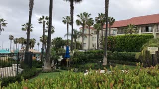 Gorgeous Peaceful Courtyard Ambiance Hyatt Huntington Beach