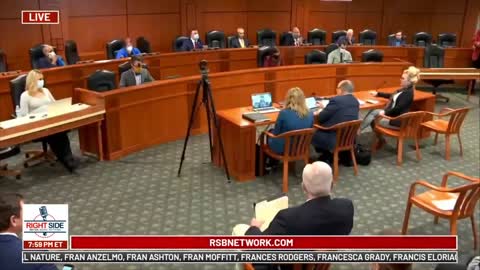 Witness SHUTS DOWN D-Rep Darrin Camilleri PUSHING his FALSE information! Michigan House Hearing!