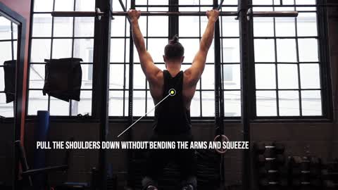 Scapular Pull Up Exercise Tutorial