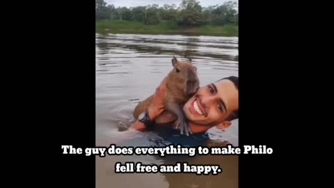 Guy saved abandoned tiny capybara and now they live and swim together