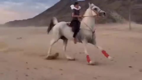 fastest horse