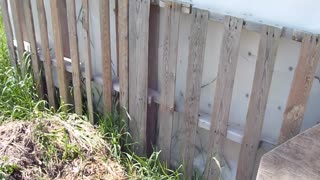 Compost bin construction Episode 68