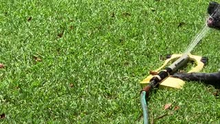 Playing in the Sprinkler