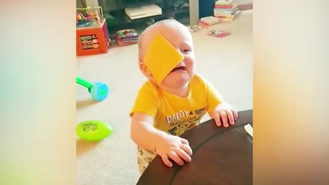 Funny Babies and Children Vids