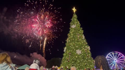 Waco TX Tree Lighting