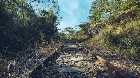 Old Train Track Ambiance.