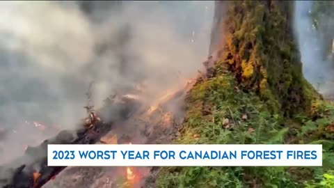 Is this the new normal_ 2023 is Canada's worst wildfire year ever