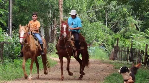 Nature horse riding