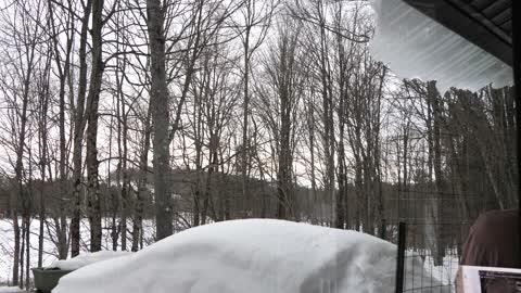 Upstate NY Life: The best part of having a steel roof.