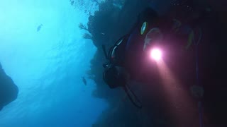 Bermuda: Lionfish hunting on the reefs south of Cooper's Island