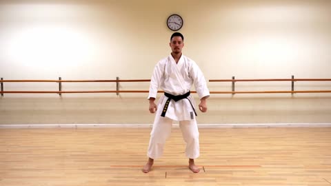 Heian Godan Tekki Shodan Nidan Sandan