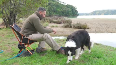 Tent, Tarp, Wool Blanket, and Dog While Camping in the Rain