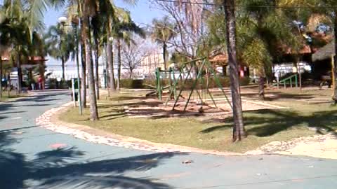 No parque municipal de barueri os pato