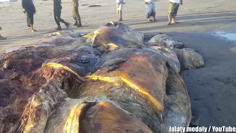 Beautiful seen on The Beach