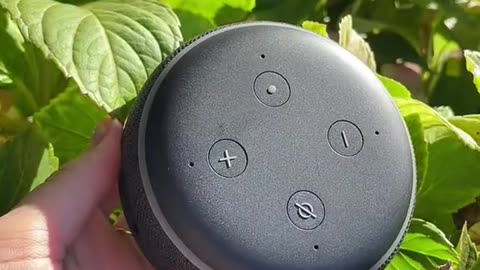 Amazon Echo Dot (3rd Generation)