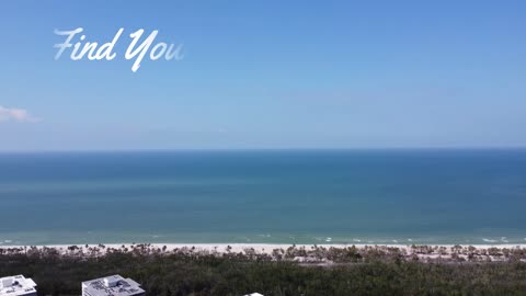 Wiggins Pass, Naples Florida landing page video for Tammy Seyler Premiere Plus Realty