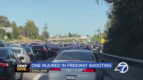 Push for working cameras on Bay Area freeway after recent shooting.