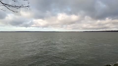 New Year's Eve Day 2022 looking out at Bellingham Bay from Taylor Street Dock