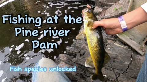 Fishing At the pine river dam