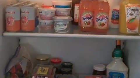 Selena Gomez Fridge & Freezer tour #shorts