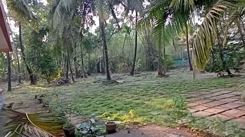 My farm house in alibag india