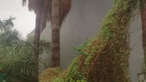 Rain in Dubai