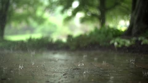 Gentle RAIN to Sleep Instantly, Beat Insomnia. Help Relax, Study. Rain Sound, Gentle Rain