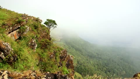 Tiger conservation documentary about the project in India