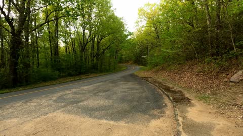 Driving the Blue Ridge Parkway Dedication to my Mother on the Day She Died on Cinco de Mayo, 2022