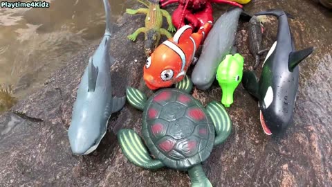 Sea Animals Toys