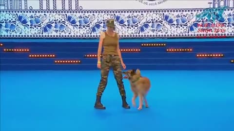 Dog dance World Championship-Freestyle final #DogLife#PuppyLove#Doggo#FurryFriends#DogDays#Doggang