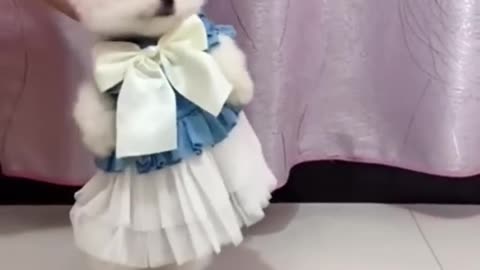 Cute puppy doll