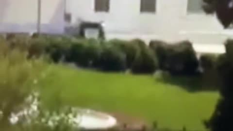 THE WHITE HOUSE 2 MEN CARRYING WHAT LOOKS LIKE A CASKET TO BEHIND THE SECURITY SCREEN