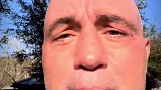 Libs in disarray as Rogan responds to Spotify outrage