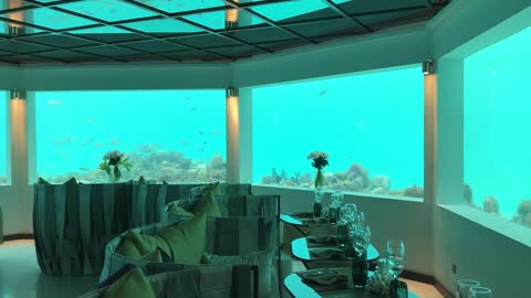 Underwater Restaurant _ Royalty Free _ Stock Footage