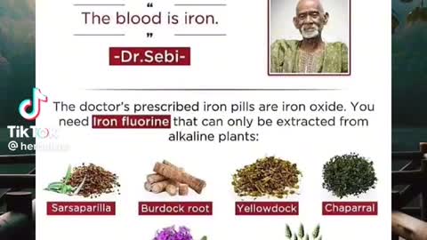 Dr sebi iron facts for you