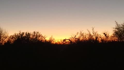 The sounds of a sunset in Texas