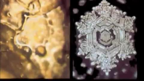 Masaru Emoto water experiments in cymatics and intent effecting water molecules