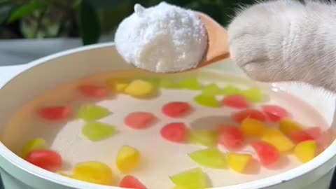 Crystal egg jelly #kittygod_cn #foodtiktok #catsoftiktok #catlover