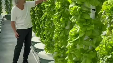 AMAZING HYDROPONIC VERTICAL FARM