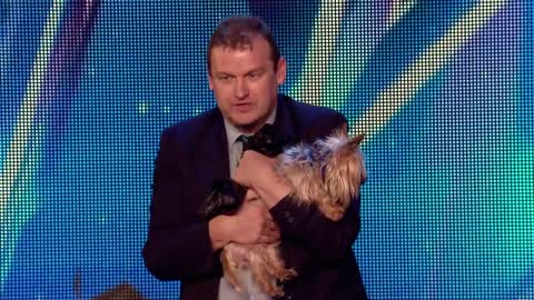 TOO FUNNY! Dog chases Ant around the stage! I Audition I BGT Series 9