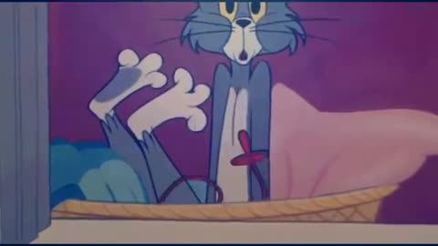 Tom and Jerry Cartoon New Compilation