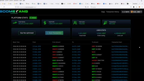 23.06.2024 Boomerang MVP Test Trade