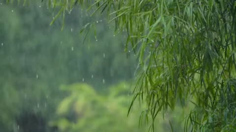 30 Minutes Healing Rain and Piano Meditation: Relaxing Music for Deep Calm 🌧️🎶