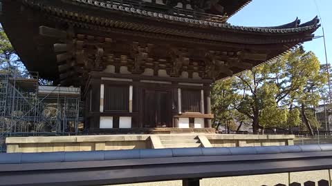 【Japanese landscape】Five-storied pagoda of Kofukuji