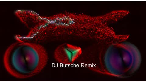 Könnte Schlechter Sein GReeeN, Patwah - Traktor 3 Mix - GreeN - DJ Butsche Remix