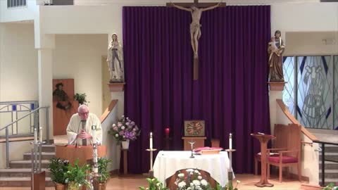 Homily for the 4th Sunday of Easter "C"