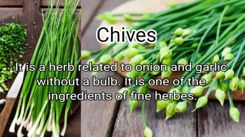 Chives