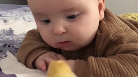 Cute Baby Meets a Newly Hatched Chick