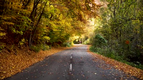 Real Road in Nature for people